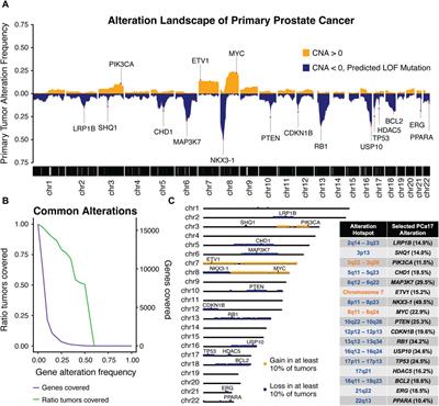 ProstaMine: a bioinformatics tool for identifying subtype-specific co-alterations associated with aggressiveness in prostate cancer